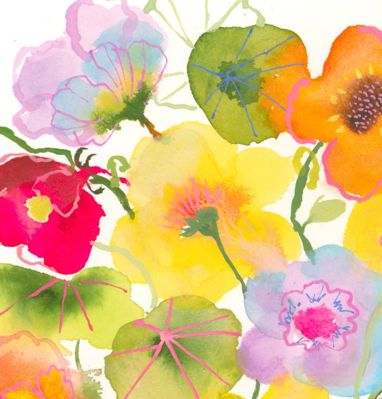 Natalie's Nasturtiums