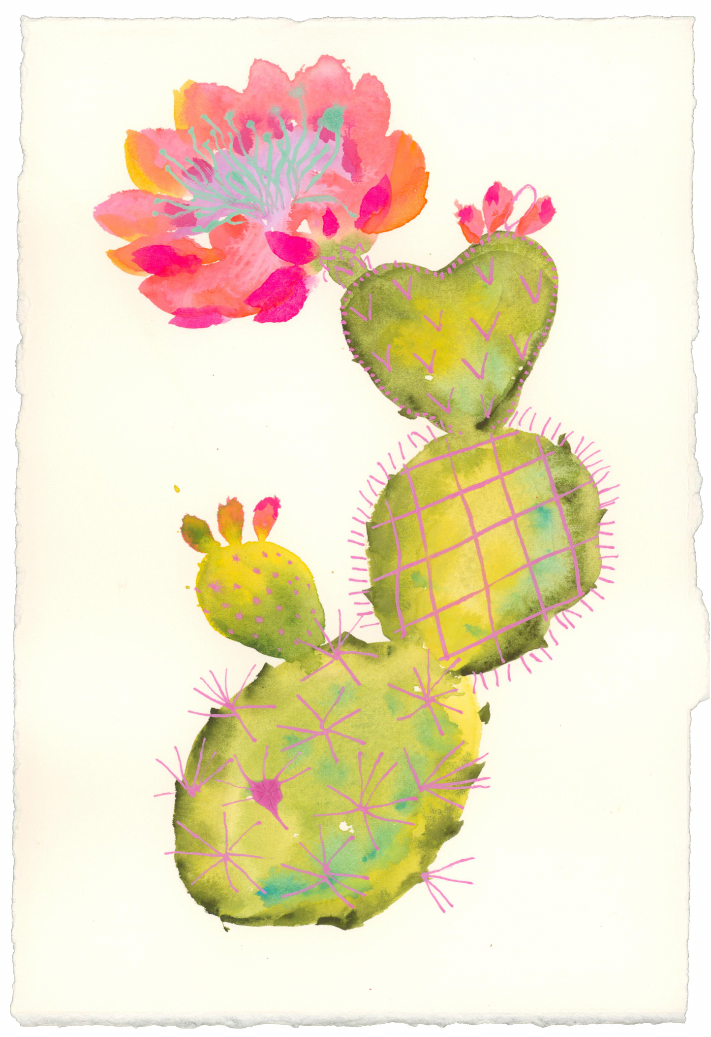 Prickly Blooming Cacti