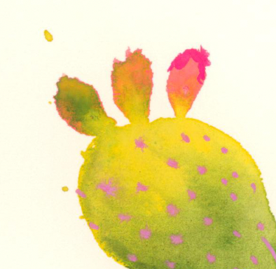 Prickly Blooming Cacti