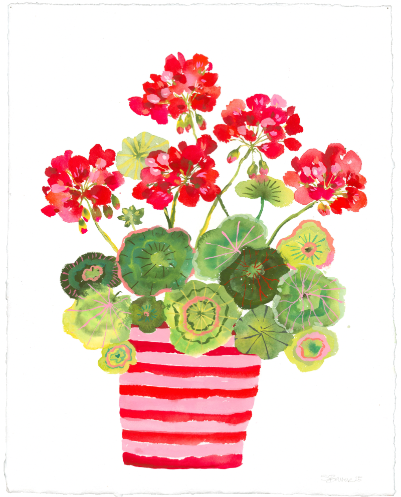 Illustration of a striped vase with red geranium flowers on a white background