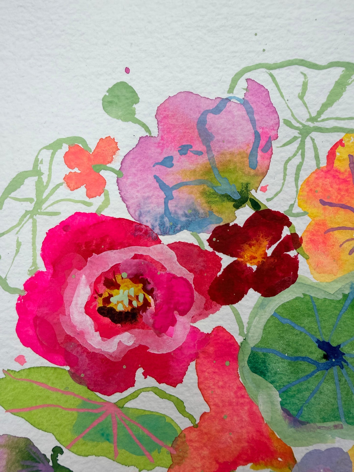 Crazy for Nasturtiums