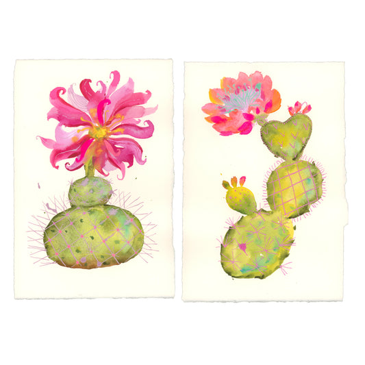 Prickly Blooming Cacti