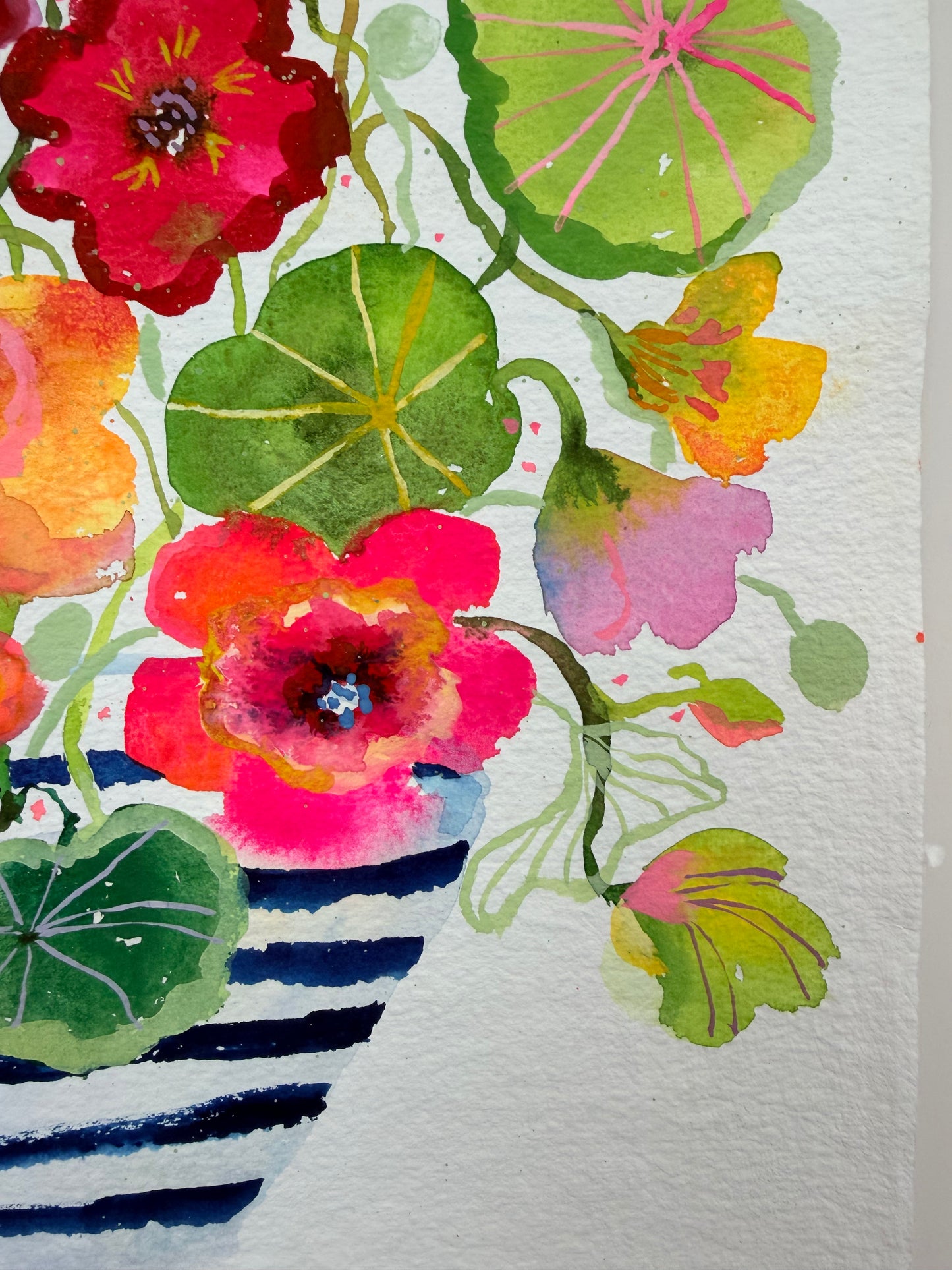 Crazy for Nasturtiums