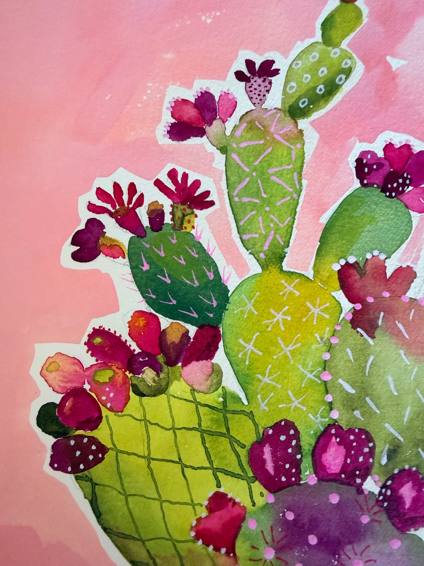 Colorful cactus illustration on a pink background