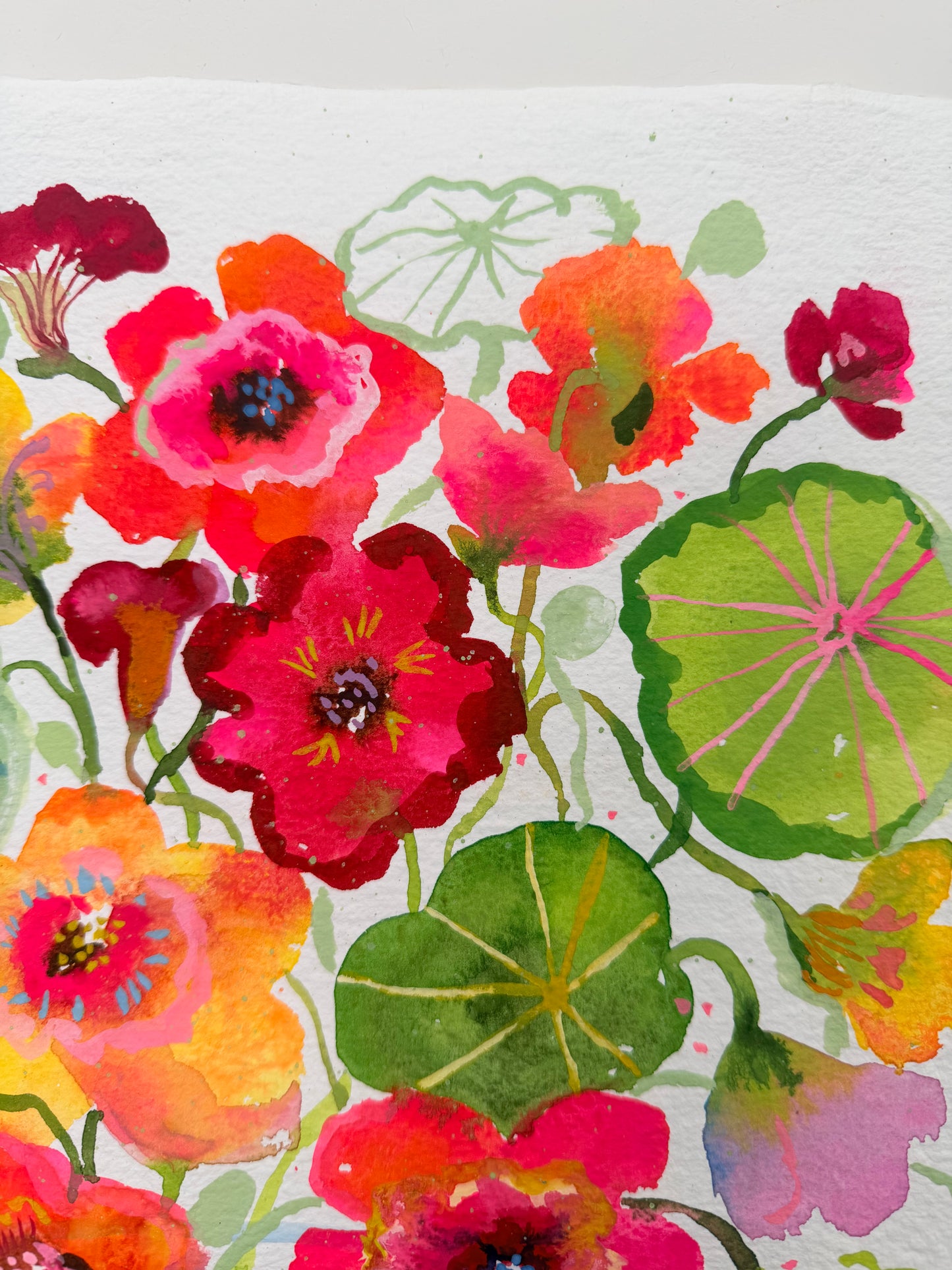 Crazy for Nasturtiums