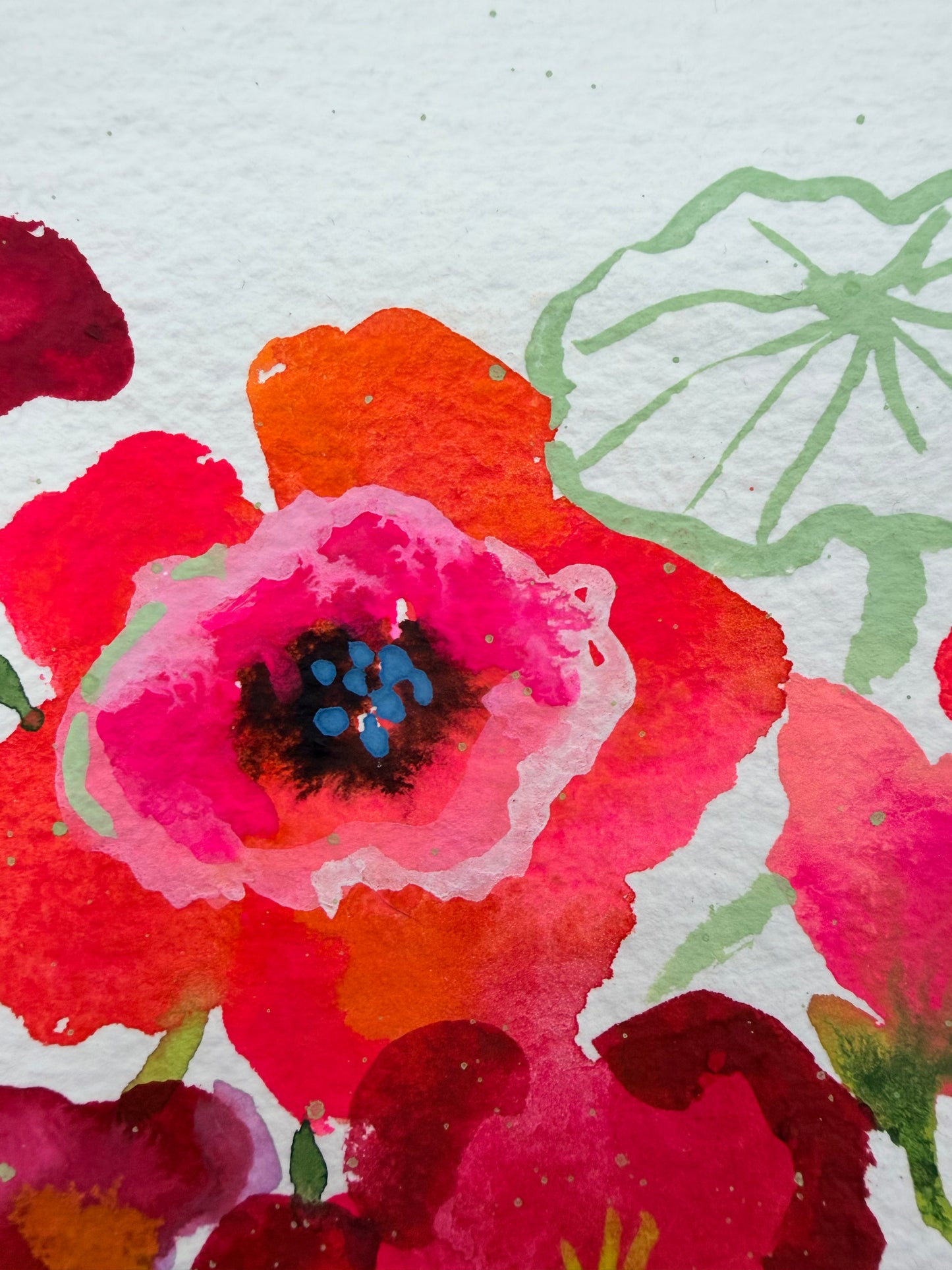 Crazy for Nasturtiums