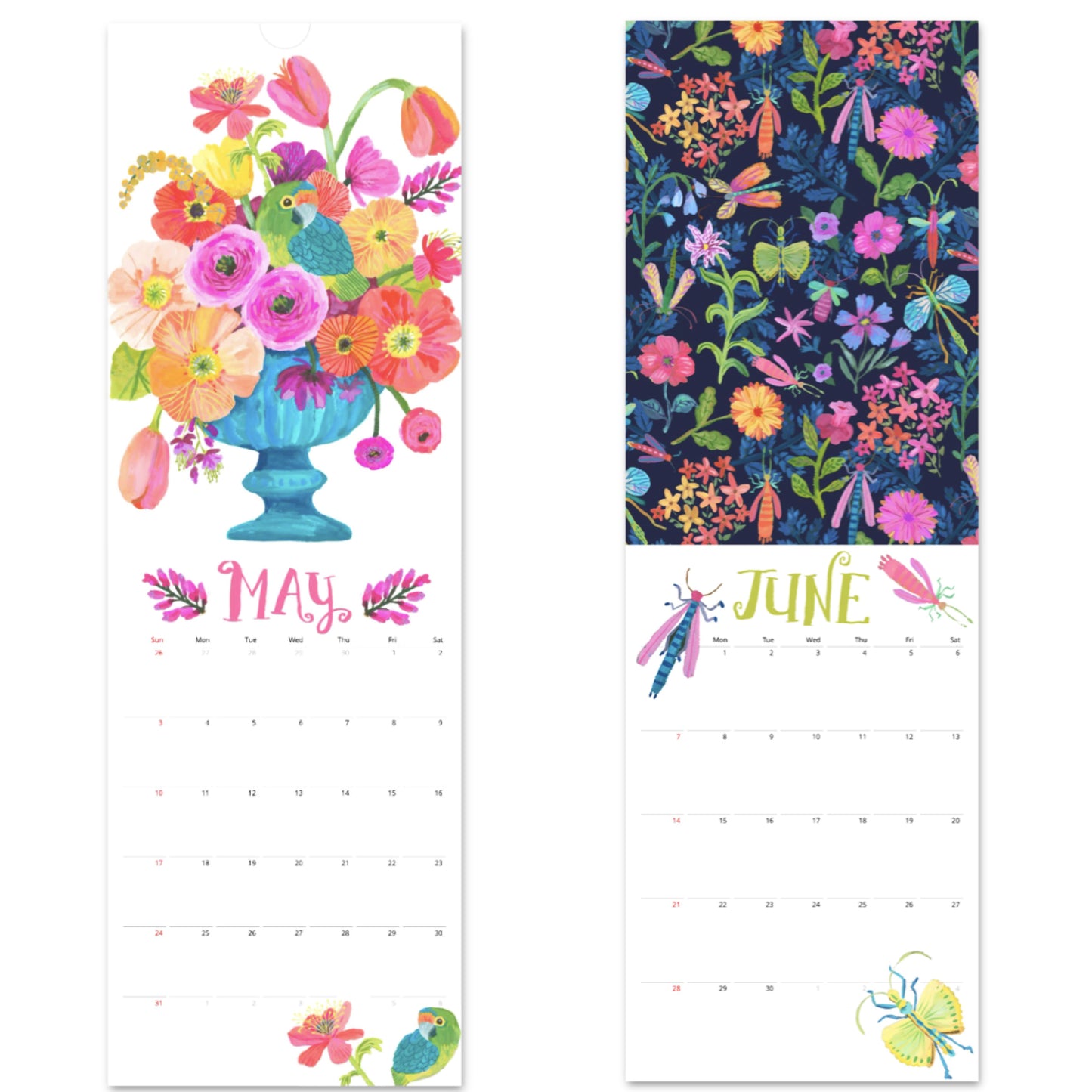 May and June 2026 calendar pages showing vibrant hand-painted wildlife and flowers