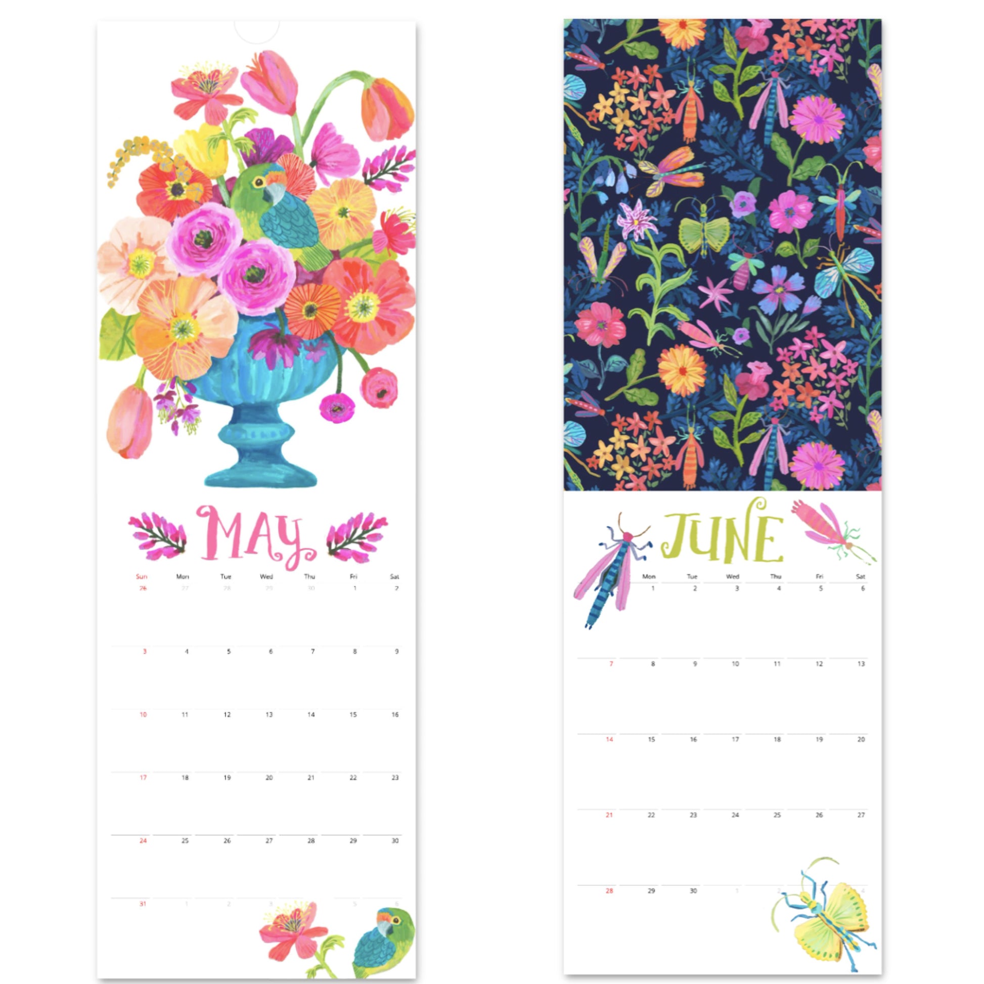 May and June 2026 calendar pages showing vibrant hand-painted wildlife and flowers