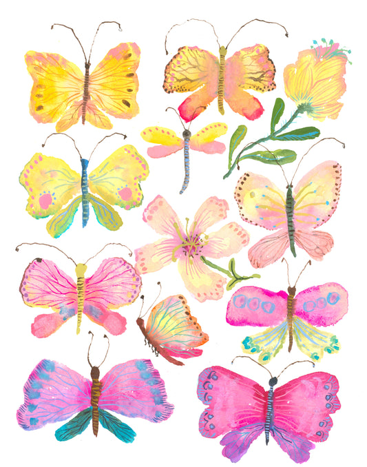 Colorful butterflies on a white background