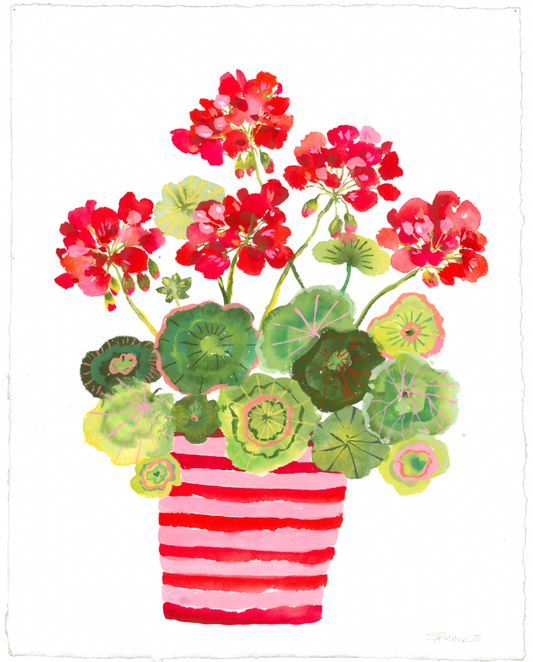 Illustration of a striped vase with red geranium flowers on a white background