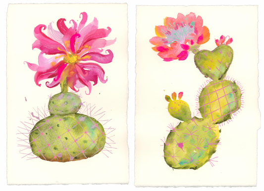 Prickly Blooming Cacti