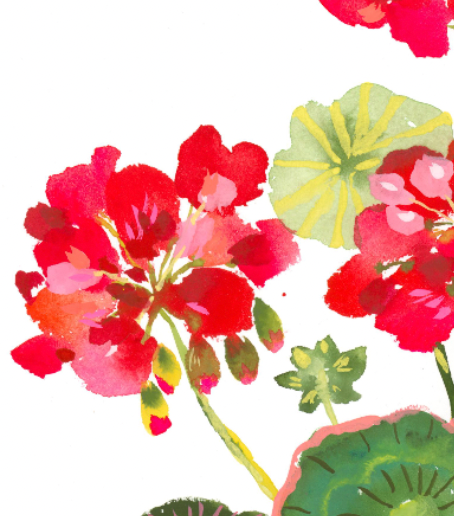 Colorful floral design with red, pink flowers with playful green leaves on a white background
